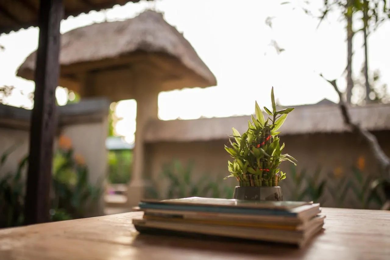 Abimana Ubud 2*, Ουμπούντ