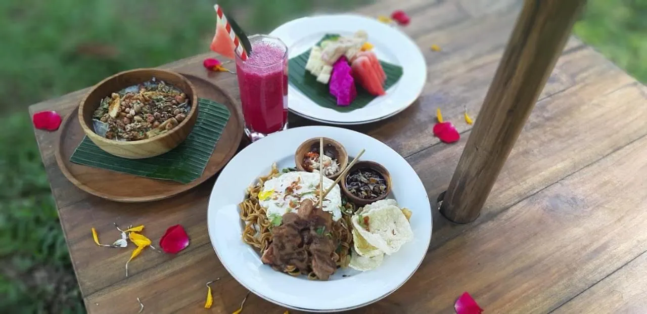 Πανσιόν Abimana Ubud
